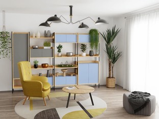 MOBIUS cabinet 2D color: hikora oak/white