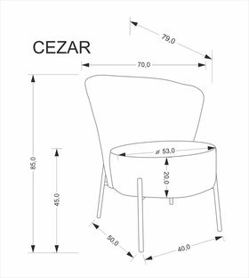 CEZAR fotel wypoczynkowy, popielaty (1p=1szt)