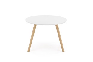 RUBEN ext. table